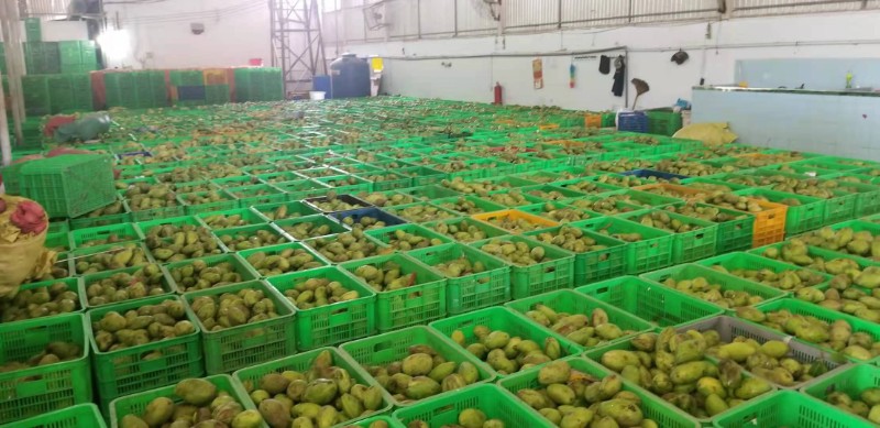 益陽瑪山產業機械有限公司，湖南益陽螺旋風管廠家，熱風食品烤房